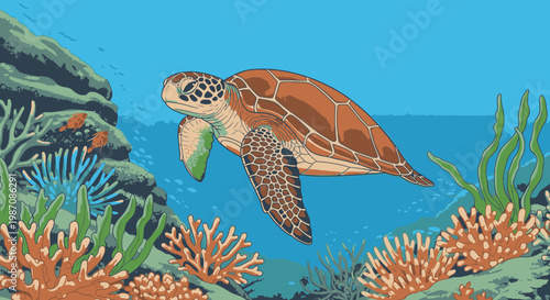 Sea turtle swimming in ocean water.