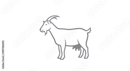 Goat Standing Side View.