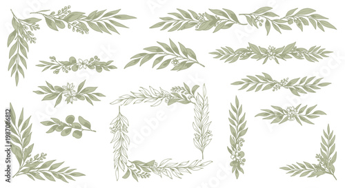 Green leafy branch frames collection.