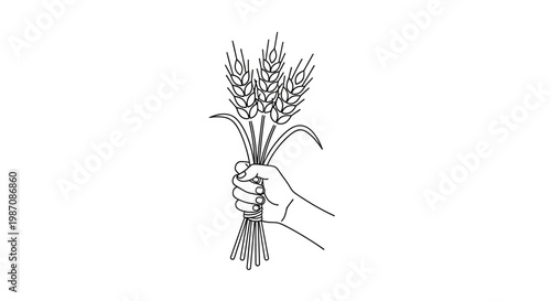 Hand holding wheat grains.