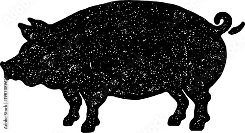 Vintage Grunge Pig Silhouette Isolated