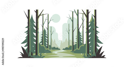 Trees Forest Pathway Landscape Nature Scene.