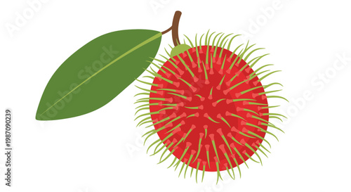 Raspberries Fruit Closeup Illustration.
