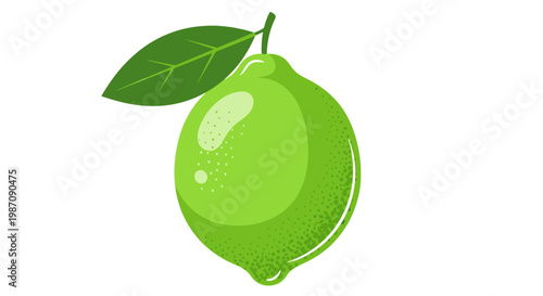 Fresh Green Lime Fruit Closeup View.