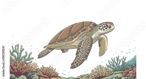 Sea turtle swimming in ocean water 1.