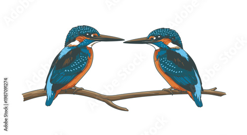 Two colorful kingfishers on branch facing.