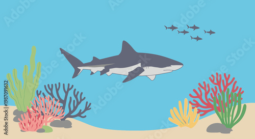 Gray shark swimming in ocean water.