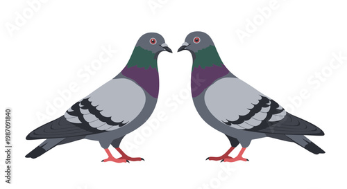 Two pigeons standing face to face.