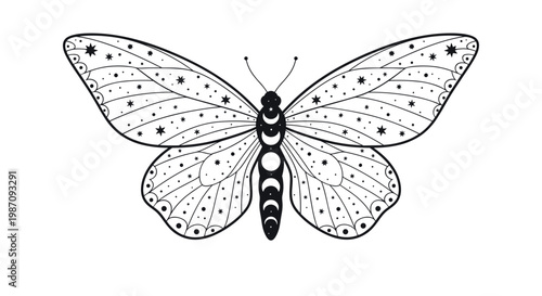 Detailed celestial butterfly line art illustration featuring starry wings moon phases and astronomical symbols on a white background.