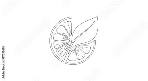 A line drawing of a citrus fruit slice with a leaf.