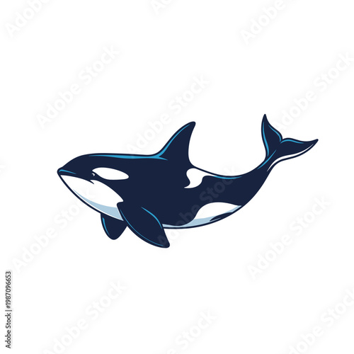 Stylized orca killer whale cartoon illustration isolated on white background
