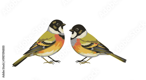 Two small colorful birds facing each other.