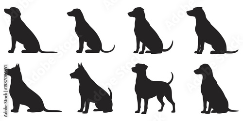 Alert standing dog silhouettes, watchful pet posture, canine profile, animal care theme, clean vector illustration eps 10 for design