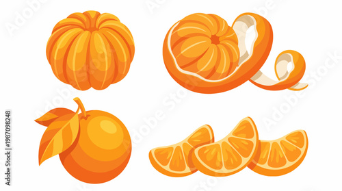 An artistic display of oranges, including whole fruits, peels, and slices, captures the zest and vivid color of citrus in a playful and engaging composition.