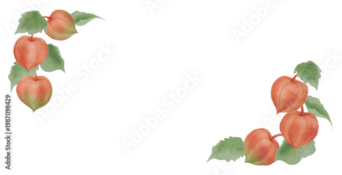 Watercolor Chinese Lantern Plants Frame with Autumn Leaves on Transparent Background300dpi