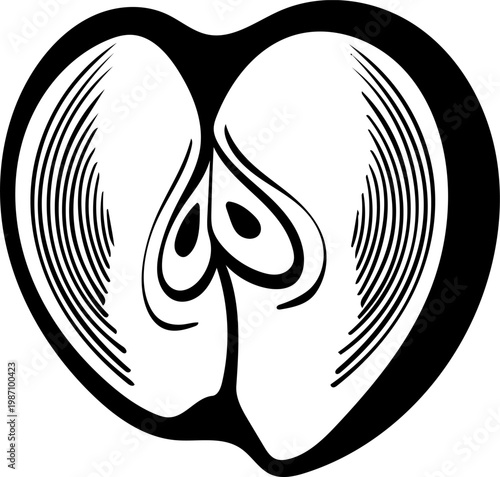 Apple half slice cross section with seeds engraving style, vector illustration. Sliced apple fruit internal structure hand drawn monochrome
