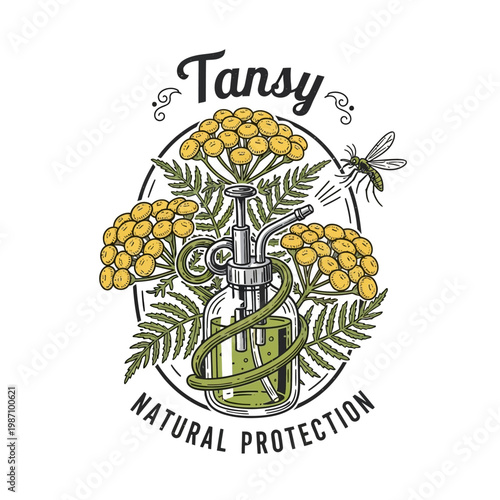 Tansy herbal insect repellent bottle illustration.