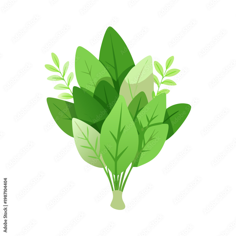 Fototapeta premium Minimal Green Leaf Bouquet Isolated Vector Illustration