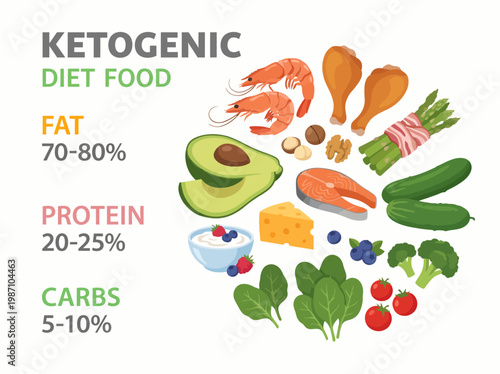 An informative visual guide displays various ketogenic diet foods, highlighting essential fats, proteins, and carbohydrates, ideal for those pursuing a low-carb lifestyle.