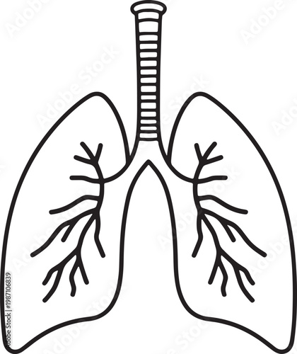 Human lungs outline vector illustration with bronchial tree showing respiratory system anatomy medical icon.