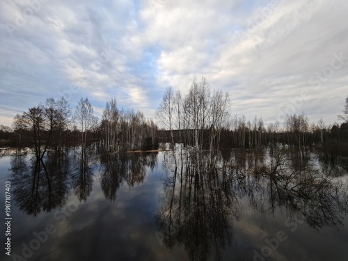 lake in the forest