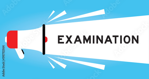 Color megaphone icon with word examination in white banner on blue background
