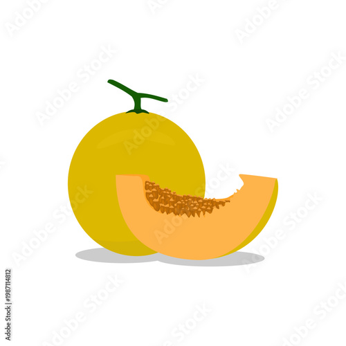 Whole and Sliced Cantaloupe Melon Fruit Vector