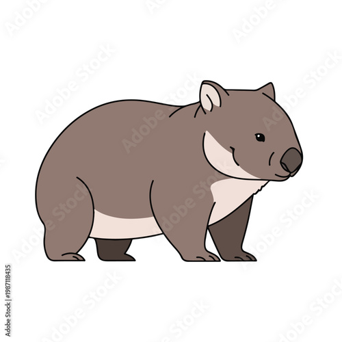 Cuddly Koala Bear Standing on Legs Looking Right