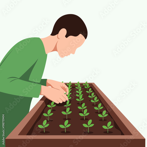Person Tending Seedlings in Garden Bed to Promote Growth and Sustainability