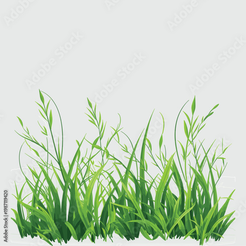 Grass border set isolated white background