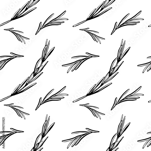 Bild auf Leinwand Rosemary seamless pattern in minimalist black and white vector line art