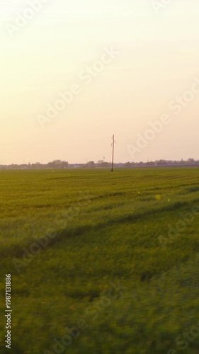 Car side window view of golden light sunset over green farm fields