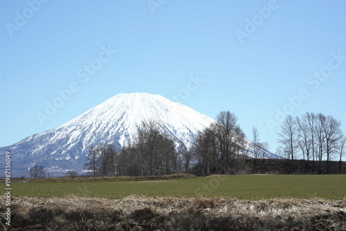 畑から見える羊蹄山