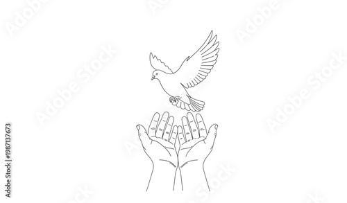 Dove of peace with hands outline line art minimal vector illustration freedom symbol