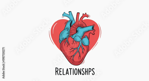 A vector graphic illustration of a heart with a human anatomy inside, symbolizing relationships and love. in white background.