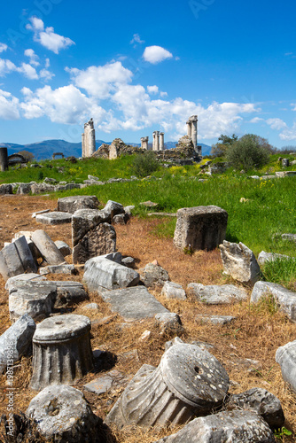 Fallen Marble Columns and S...