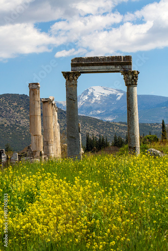 Ancient Roman Columns of Ap...