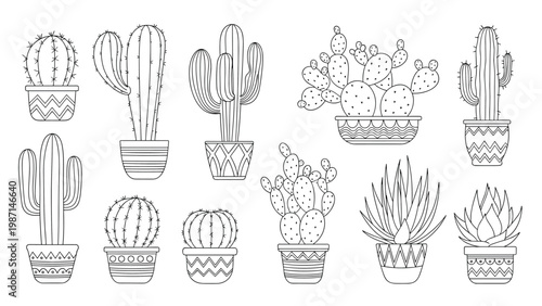 Diverse collection of line art illustrations featuring various potted cacti and succulents in different shapes and sizes.