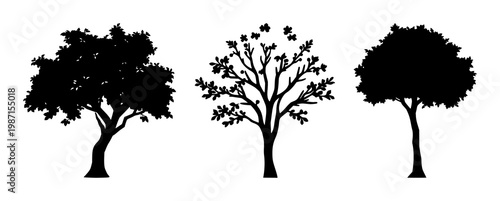 Garden tree icon set with solid black color and white background featuring nature, plant, botany with simple and minimal design