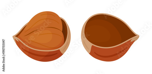 Hazelnut, one half hazelnut shell with kernel inside and one empty shell half. Hand drawn flat style isolated on transparent. For stickers, menus, food packaging, confectionery labels, snack icons.