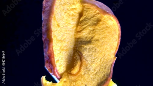 Macro of dehydrated Pyrus communis fruit slice. Bright Texture of Dried Pear Slice Macro