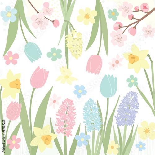 Colorful Tulips and Spring Flowers Blooming.