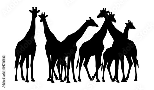 Giraffe silhouettes collection black vector set with walking standing and grazing wildlife animals