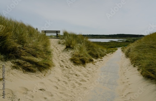 Foto A wooden bench sits atop a sand dune overlooking a lake and a paved path winding through the coastal landscape of Den Helder, Netherlands