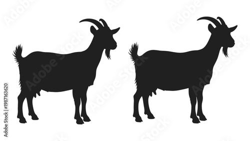Canvas Print Two black silhouettes of goats standing in profile facing opposite directions