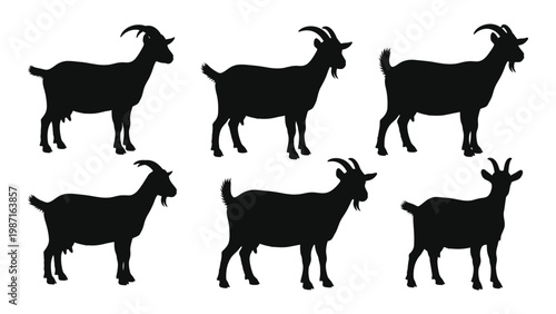 Foto Silhouette collection depicting six goats in various poses against a white backg