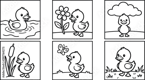 Vector coloring book six panel duckling scenes in square frames outline illustrations showing swimming walking standing looking at viewer playful black and white simple nature elements