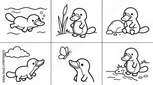 Vector art simple line panels featuring platypus in six scene grid swimming standing sitting looking at butterfly near pond rock and cattail coloring book friendly illustrations