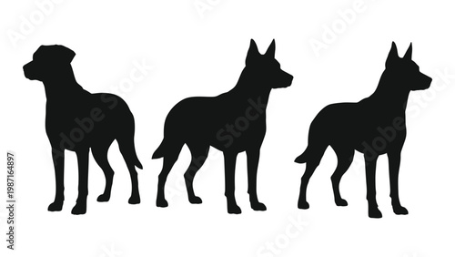 Three canine silhouettes are displayed in a row showcasing different breed profiles