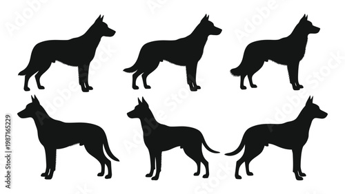 Silhouette depictions of dogs in various standing and walking poses